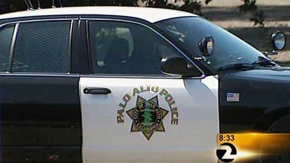 Mountain Lion spotted in Palo Alto