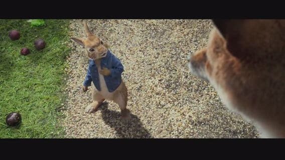 'Peter Rabbit' filmmakers issue apology for allergy scene