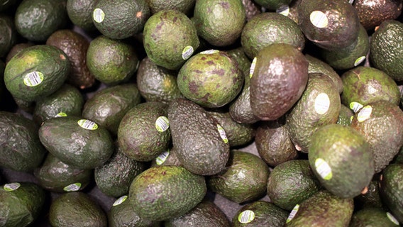 Loma Linda University looking for paid participants to eat avocados