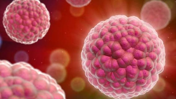 Newly developed Stanford cancer treatment promises fewer side effects