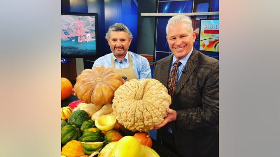 Plenty of pumpkins, squash to choose from this fall