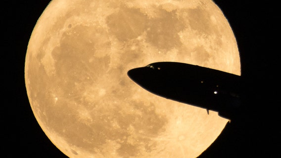 Brightest supermoon of the year rises this week: When to see it in the Bay Area