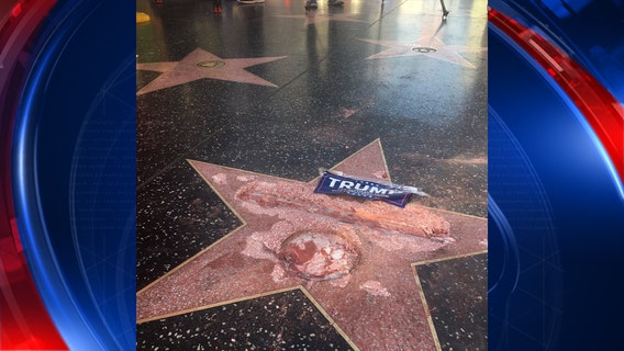 Police investigate destruction of Trump's Hollywood star