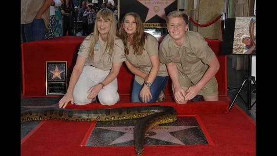Hollywood Walk of Fame star honors the late Steve Irwin
