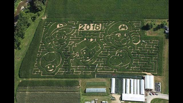 New York farm creates 8-acre 'Super Mario Bros.' Corn Maze