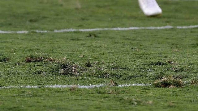 Cowboys owner Jones apologizes to 49ers for  grass comment