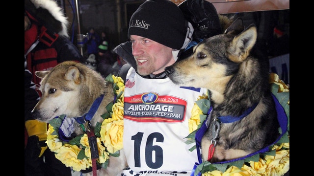 Iditarod sled dog race is engulfed in dog-doping scandal
