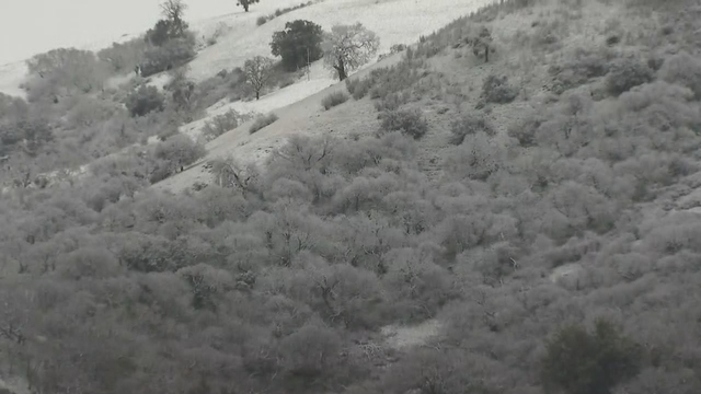 Residents wake up to a rare sighting in the Bay Area: Snow!