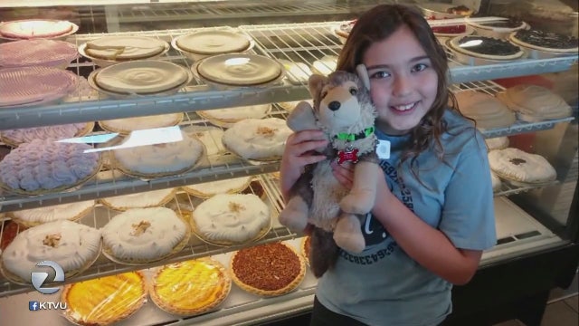Boy with autism desperately searches for beloved stuffed wolf