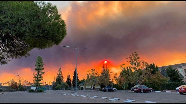 PG&E may need to inspect entire territory for trees, wildfire risks