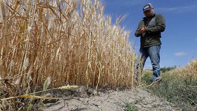 California farmers brace for water shortage despite El Nino