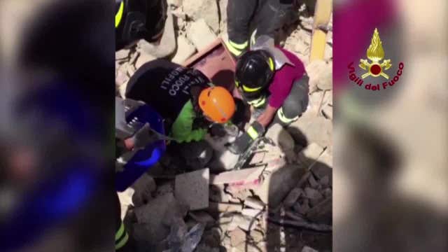 Firefighters rescue cat 15 days after Italy quake