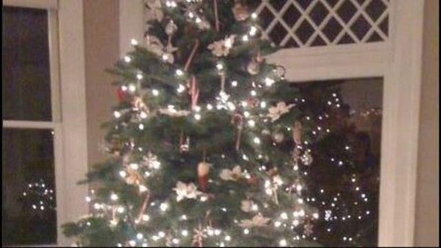 What's in the Amazon box? Maybe a real 7-foot Christmas tree
