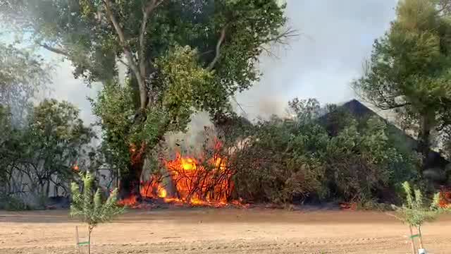Crews battling vegetation fire in Byron, four structures destroyed