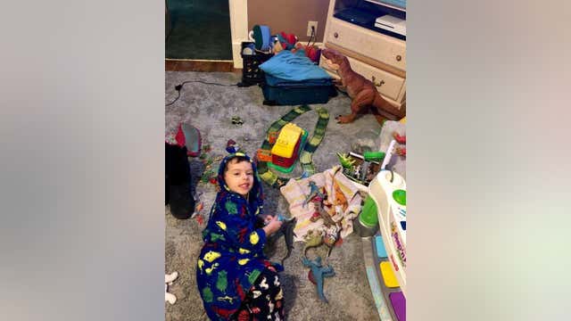 Four-year-old fire victim has new dinosaur collection thanks to kindness of strangers