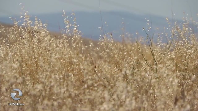Stepping up Bay Area firestorm readiness as weather heats up again