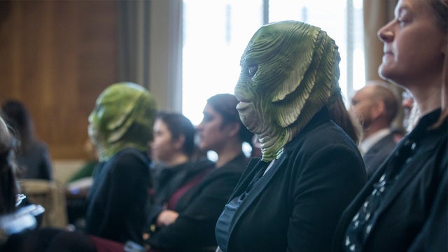 Green 'swamp creatures' crash Trump nominee's Senate confirmation hearing