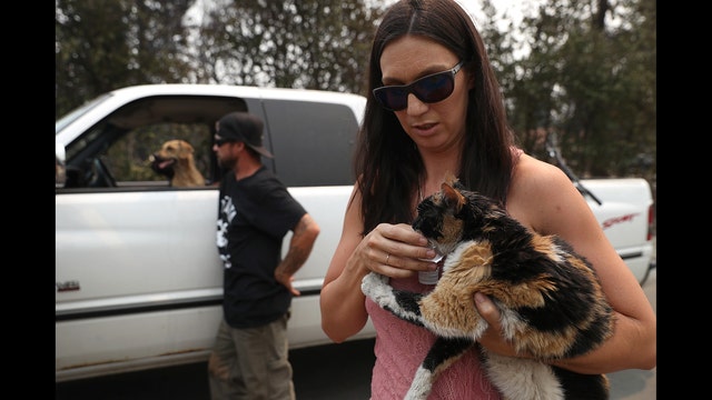 Pets and owners reunited months after deadly Carr Fire in Redding