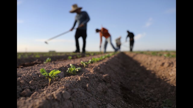 Local farm bureau supports state bureau, speaks against proposed immigration reform