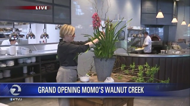 Grand Opening of MoMo's in Walnut Creek