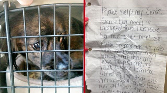 Owner leaves heartbreaking note with paralyzed dog at Florida shelter door