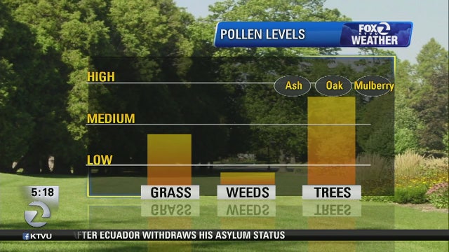 It's a bad day for allergies! High winds, heavy pollen and climate change all factors