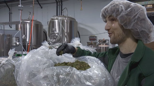 Oakland has among highest cannabis business tax rate in U.S. - some want to change that