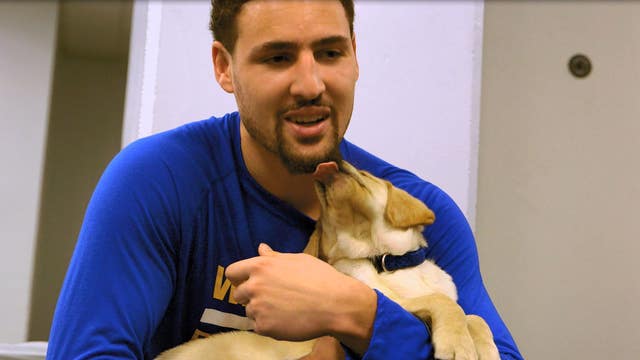 Guide dog puppy named after Warriors Klay Thompson