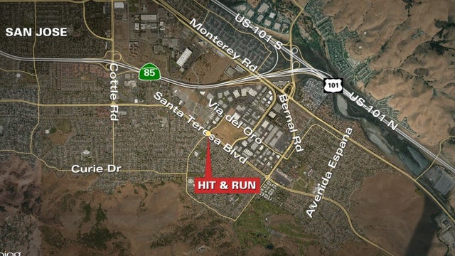 SJPD investigating deadly hit-and-run Saturday morning