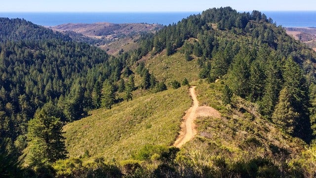 240-acre open space transfer to connect Santa Cruz forests to the coast