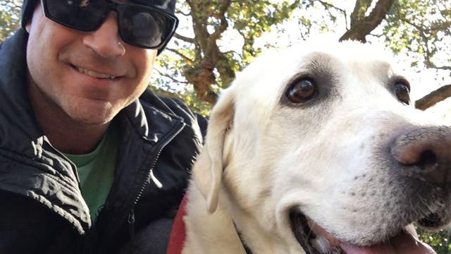 Photos: National pet day