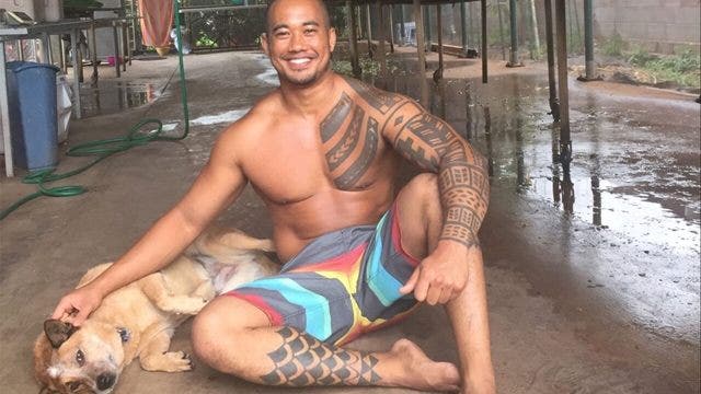Search underway for another missing Hawaii hiker, days after Amanda Eller rescued