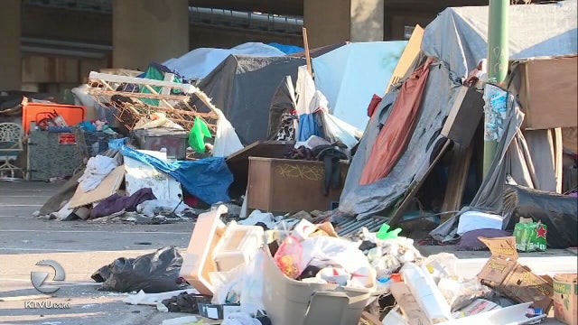 Oakland city councilman wants military to help clean up streets, more policing of illegal dumping