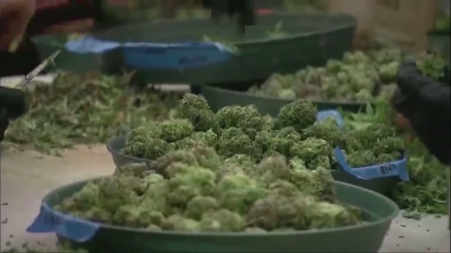 San Francisco Board of Supervisors votes to ban pot shops in Chinatown
