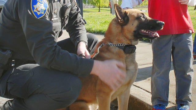Retired Petaluma police K9 "Rico" laid to rest