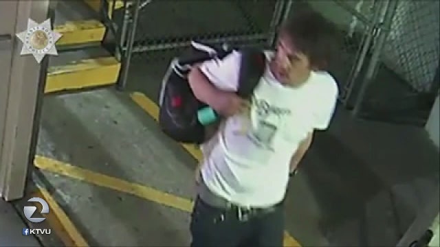 Ph.D thesis stolen in Santa Rosa remains missing