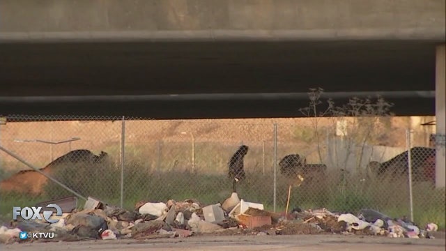 Proposal to relocate San Jose's Hope Village homeless tent community halted