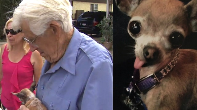 WWII vet reunited with stolen teacup Chihuahua in Downey