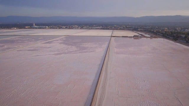 Court vacates EPA determination regarding Redwood City's salt ponds