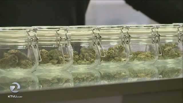 Berkeley City Council votes to become marijuana sanctuary city, lower pot taxes