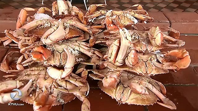 State officials optimistic for crab season, coast guard to begin safety inspections