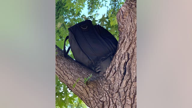 San Jose: Bomb squad gives all clear on backpack left in tree