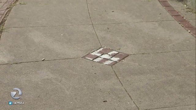 San Francisco police looking for who scrawled swastikas at Buena Vista Park