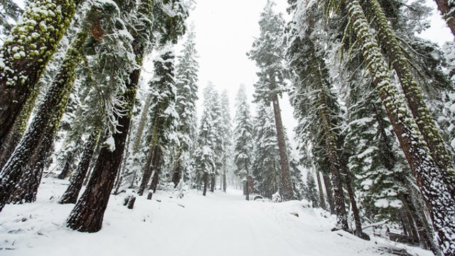 Best start to ski season in 11 years in Sierra