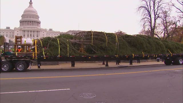US Capitol Christmas Tree arrives in nation's capital