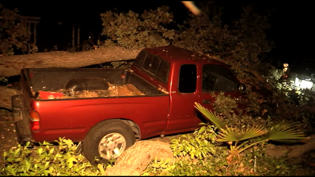 Seven cars crushed by 350-year-old tree in Pleasant Hill