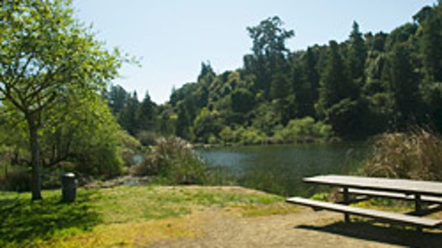 Lake Temescal in Oakland closed again because of toxic algae bloom