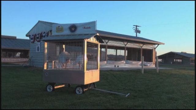 Pardoned turkey to depart SFO Monday to meet President Obama