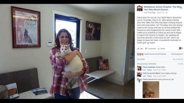 Woman reunited with cat 6 months after Valley Fire