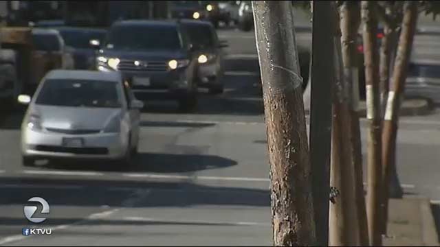 Plan calls for 200 trees to be removed from Van Ness Avenue